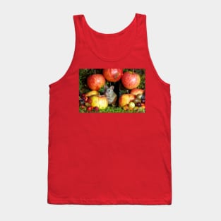 wild  house mouse and  apples Tank Top